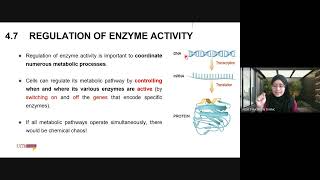 BIO091 Week 8  Chapter 4 Enzymes Part 2 [upl. by Lanti786]