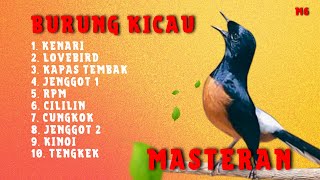 229 🔴 LIVE MURAI BATU MASTERAN 10 MATERI TERBAIK KICAU PILIHAN  MURAI JUARA [upl. by Eiramanit517]