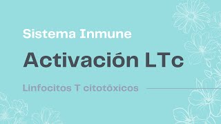 Activación de Linfocitos T citotóxicos  Sistema Inmune  Repasá conmigo [upl. by Aneeuq57]