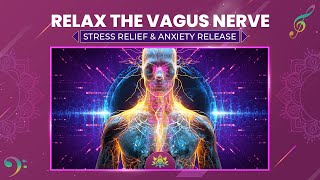 Relax The Vagus Nerve  Rapid Trauma Healing Stress Relief amp Anxiety Release  Music Therapy [upl. by Faruq828]