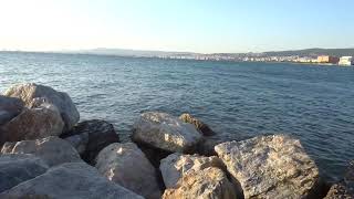 Afternoon bream fishing at the edge of the breakwater [upl. by Etnaid433]