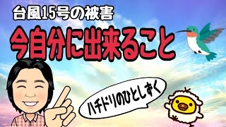 【ハチドリのひとしずく】今自分に出来ること！ [upl. by Amato]