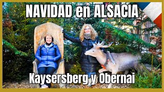 🇫🇷 Castillo de KAYSERSBERG y mercado navideño de OBERNAI  🎅 NAVIDAD en Alsacia 5  En AUTOCARAVANA [upl. by Aymer]