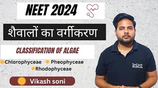 Algae Classification  Class 11 Biology  शैवालों का वर्गीकरण  कक्षा 11 जीवविज्ञान NEET 2024 [upl. by Yojal963]