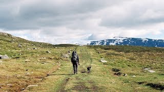 UT PÅ TUR Kongevegen over Filefjell [upl. by Marybelle69]