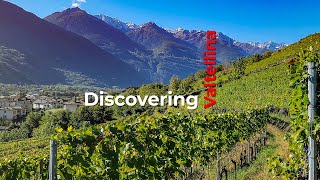 Discovering Wine Country Valtellina in Northern Italy [upl. by Airdna]