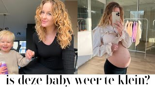 Voor het eerst naar een KRULLENKAPPER amp GROEI ECHO 27 weken Zwanger  Weekvlog✨ [upl. by Riddle]