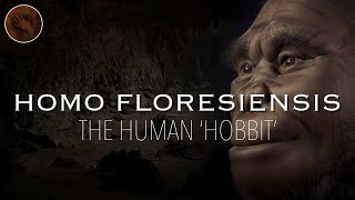 Homo Floresiensis The Real Life Hobbit  Prehistoric Humans Documentary [upl. by Moffat]