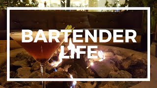 VIDA DE BARTENDER [upl. by Ahsilac]