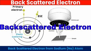 Backscattered Electron Explained with Animation [upl. by Nosreme]