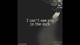 Floke Rose  i cant see you in the dark Lyric Video [upl. by Elohcan]