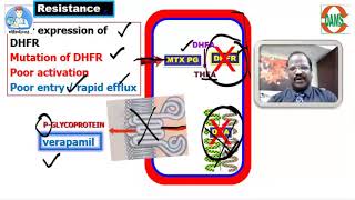 Anticancer drugs  ANTIMETABOLITES by Dr Thirunavukkarasu Jayaraman DAMS Faculty [upl. by Garretson137]