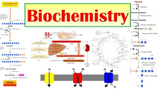 00 Biochemistry  Introduction to Syllabus  BPharmacy 2nd Semester [upl. by Eerrehc]