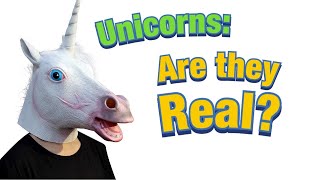 Unicorns are they real [upl. by Seppala]