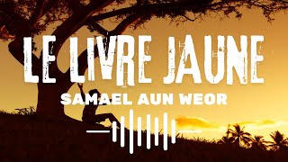 Le Livre Jaune  Livre Audio de Samael Aun Weor [upl. by Ilram]