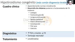 ¿Cretinismo significa cristiano [upl. by Jowett162]