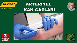 ARTERİYEL KAN GAZLARI SERDAR AKGÜN [upl. by Refinaj933]