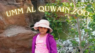 UMM AL QUWAIN ZOO IN UAE  AMAZING PLACE TO VISIT [upl. by Yddub855]