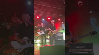 April Wine “Sign Of The Gypsy Queen” live  Taylor MI Summer Festival June 2024 joeEbravo [upl. by Anniahs125]