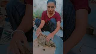 How to prepare Organic Manure at home  journeywithridhumaa trending organic trendingviralshorts [upl. by Annawad97]