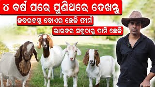 ଭାରତର ସବୁଠାରୁ ଦାମି ଛେଳି  How to start Boer Goat farm in Odisha boergoat efarmingodisha [upl. by Richelle]