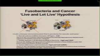 Wendy Garrett  Fusobacterium nucleatum and colorectal carcinogenesis [upl. by Benilda218]