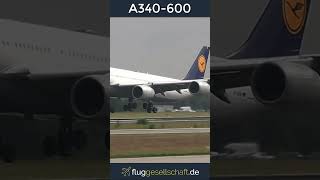 Lufthansa´s Captain Claus quotQuax 747quot Airbus A340600 landing Runway 25R FRANKFURT Airport [upl. by Etka]