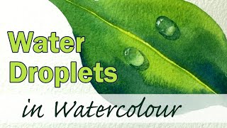 How to Paint Water Droplets on a Leaf in Watercolour  Step by Step Raindrop Tutorial for Beginners [upl. by Lean668]