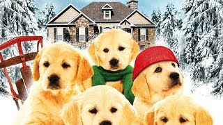 The Gold Retrievers Movie Trailer [upl. by Sakhuja43]