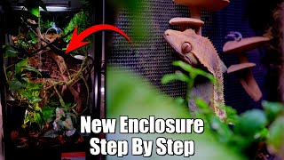 18x18x36quot Bioactive Setup  Crested Gecko Enclosure How To [upl. by Ahsiekat]