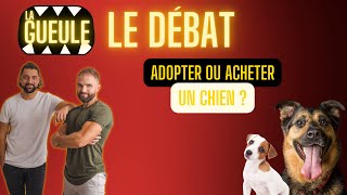 Adopter ou acheter un chien   Le DÉBAT [upl. by Ocnarfnaig]