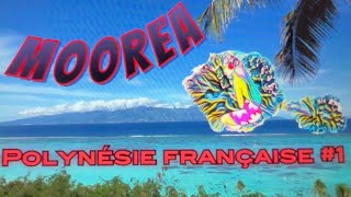 On part en Polynésie française à moorea vlog 1 [upl. by Elianore]