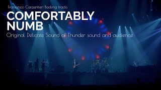 Comfortably Numb 2nd solo BACKING TRACK  Original Delicate Sound of Thunder Audio and Audience [upl. by Sweyn]