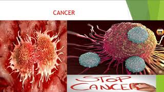 Cancer and types of cancer with mechanism of cancer  hindi [upl. by Gardel]