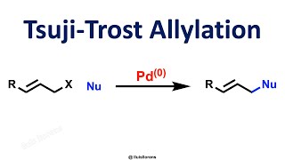 TsujiTrost Allylation [upl. by Sennahoj]