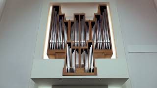 JS Bach  Nun danket alle Gott BWV 657 Dirk Jan Versluis organ [upl. by Klement145]