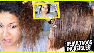 TRATAMIENTO CASERO PARA EL CABELLO SECO Y MALTRATADO 7 I COLAB TANIA ARREDONDO [upl. by Atsirk]