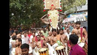 NANDILATH GOPALAKRISHNAN MASS ENTRY 4 PALAPETTY VELA 2019  നന്തിലത്ത് ഗോപാലകൃഷ്ണൻ [upl. by Rehpotsrhc]