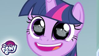 Friendship Is Magic S9 Season Finale  COMPILATION  MLP [upl. by Baecher]