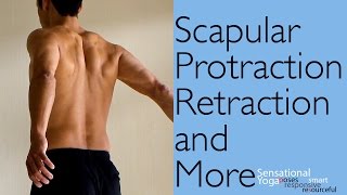 Exercises for Improving Scapular Protraction Retraction and More [upl. by Nauqyaj327]