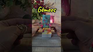 🎯👑 ♊️ GÊMEOS  19 a 2508  JÁ É SEU MAS ANALISE COM CALMA SEM PRESSA tarot gêmeos signos [upl. by Nnaeel988]