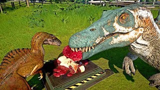 🌍 Jurassic World Evolution  Spinosaurus Vs Spinoraptor Vs Indoraptor Eating Together [upl. by Ylecara355]