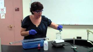 How to Perform an Endospore Stain [upl. by Nnyluqcaj689]