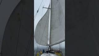 wing on wing with a rolling furler boom in stephen’s passage sailboat boat alaska travel sail [upl. by Dnalrag]