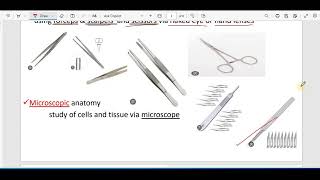 الفرقة الاولي تشريح المحااضرة الاولي ج1 Anatomy lecture one P1 [upl. by Edwyna]