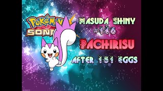 Shiny Pachirisu via Masuda Method after 151 Eggs  Pokemon Sun [upl. by Atwood751]