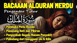 Al Quran Pengantar Tidur Merdu Surah Al Mulk Penenang Hati Jiwa dan Pikiran Mudahkan Tidur Insomnia [upl. by Rico]