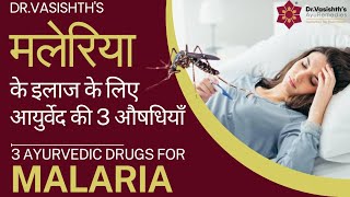 TREAT MALARIA WITH AYURVEDIC MEDICINES  आयुर्वेद की दवाओं से मलेरिया का इलाज करें [upl. by Negris347]