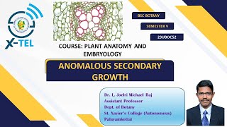 Anomalous Secondary GrowthPartI [upl. by Farny]