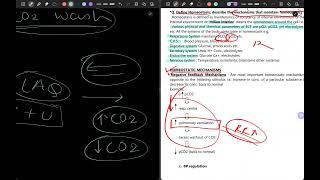 Homeostasis And Negative Feedback General Physio by VD [upl. by Alvis]